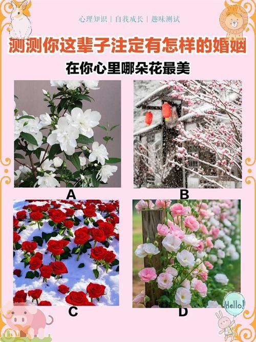 婚姻测试姻缘图标