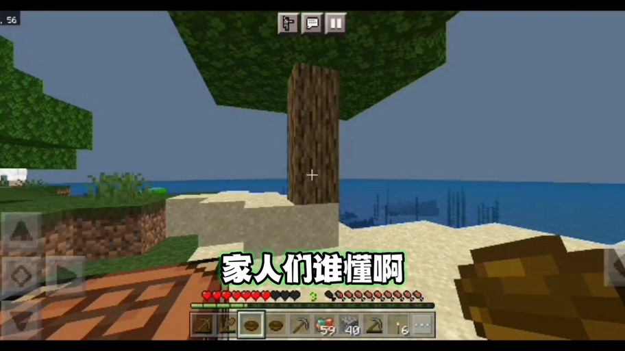 我的世界指令生成村民截图