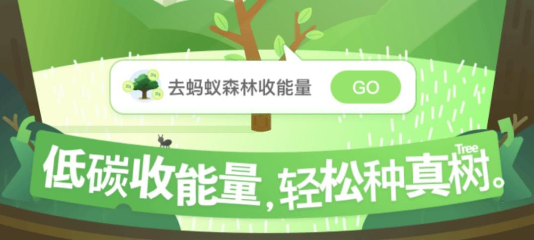 蚂蚁森林24小时后产生能量截图