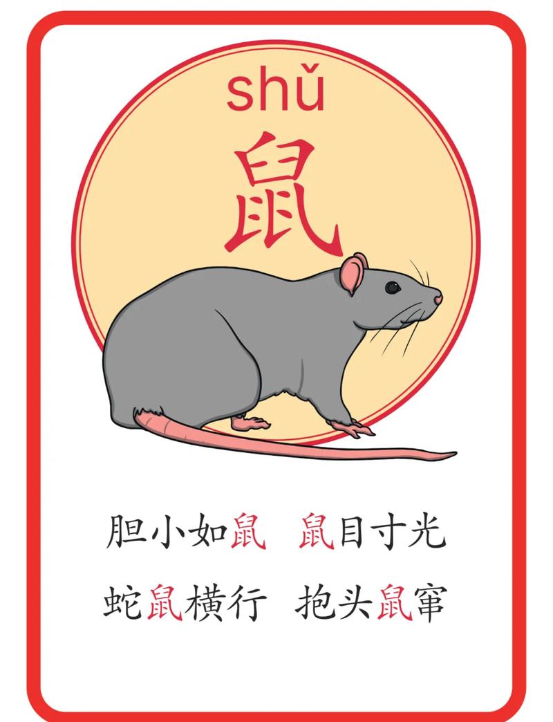 如法炮制打一准确生肖