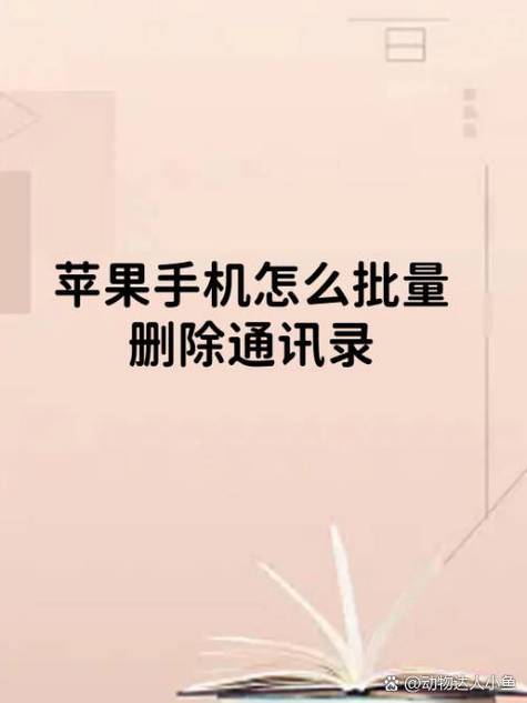 通讯录怎么批量删除