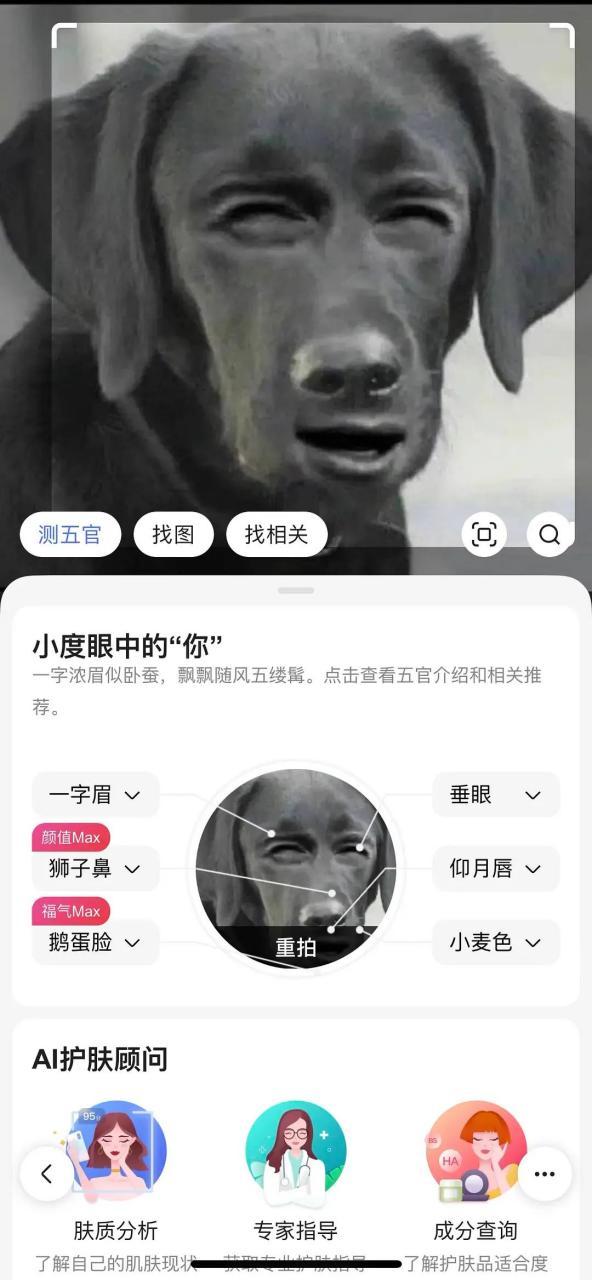 五官分析测试截图