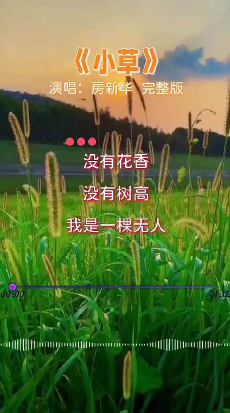小草2019怀旧版