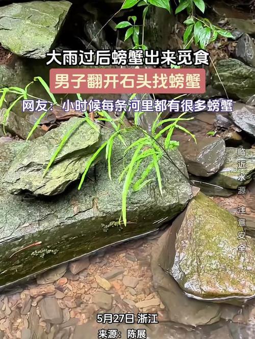 找螃蟹游戏截图