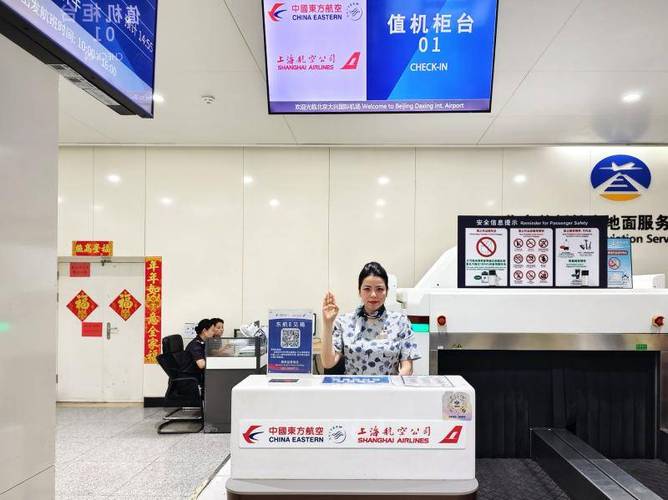 东方航空国际航班网上值机图标