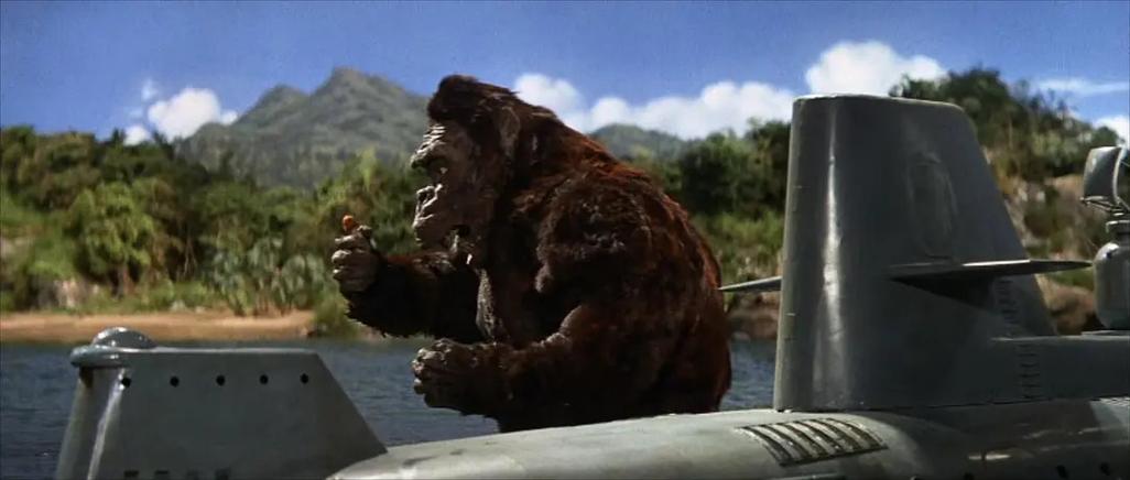 KingKong金刚官方下载入口