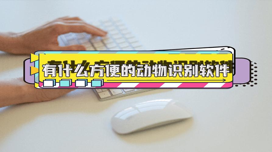 什么软件扫一扫认动物