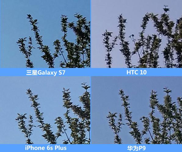 荣耀magic8pro和vivox300pro哪个拍照更好截图