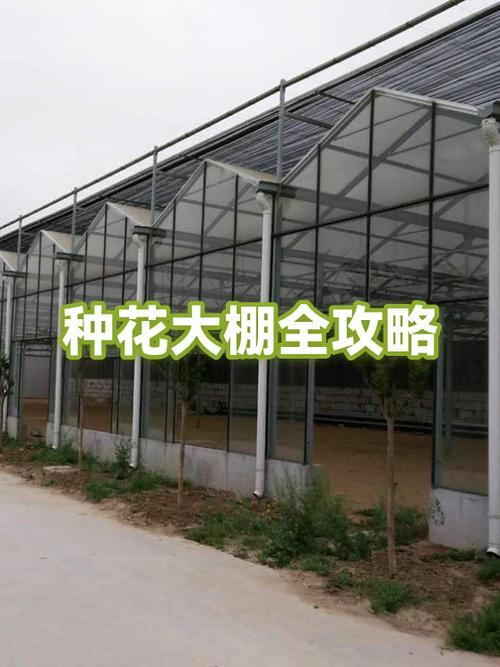附近养花大棚在哪里