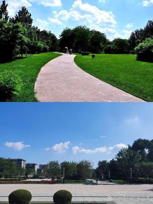 有多爱一个人才会去他的城市