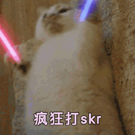 猫咪打call表情包缩略图