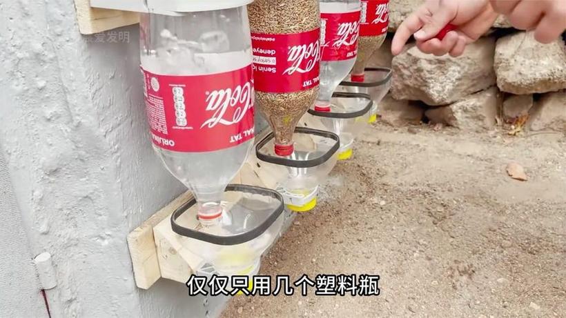 自动喂鸡饲料器