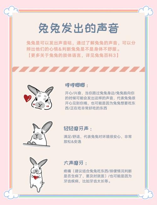 兔兔语音包广西图标