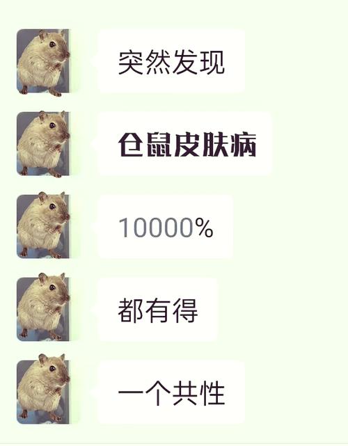 小仓鼠皮肤病图片缩略图