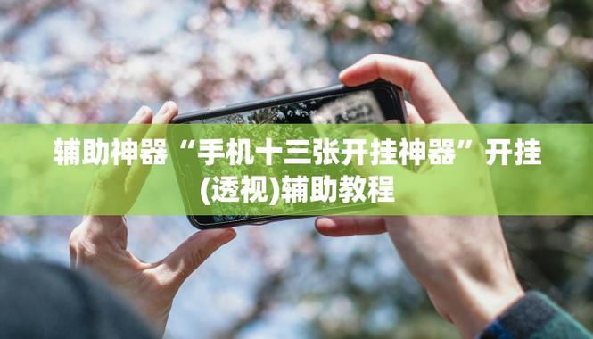 透视开挂器(免费)