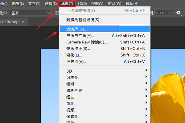 ps磨皮滤镜放在哪里