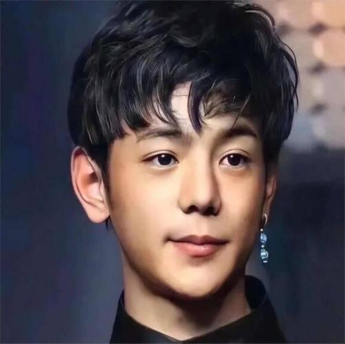 丁真个人简介