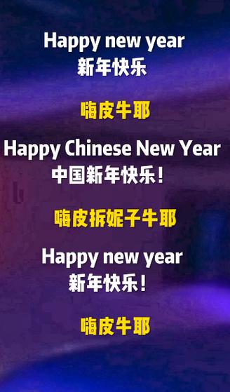 新年好什么意思