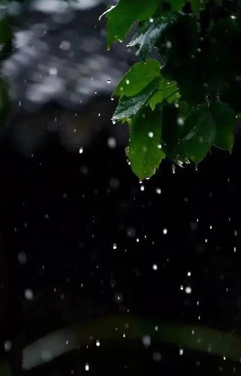 听雨,赏雨的心情
