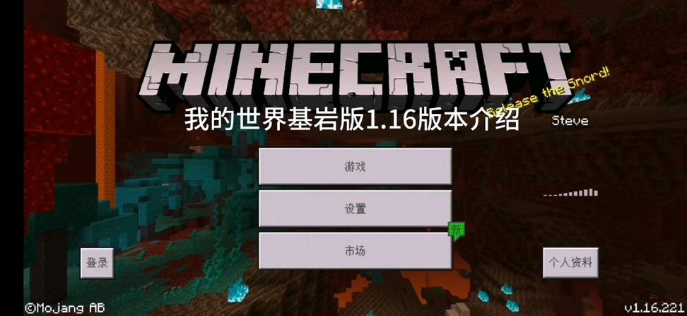 我的世界1.16版本下载正式版图标