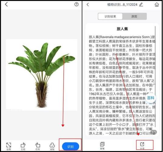 下载识别花草树木软件扫一扫截图