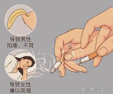 吸烟对性功能的危害截图