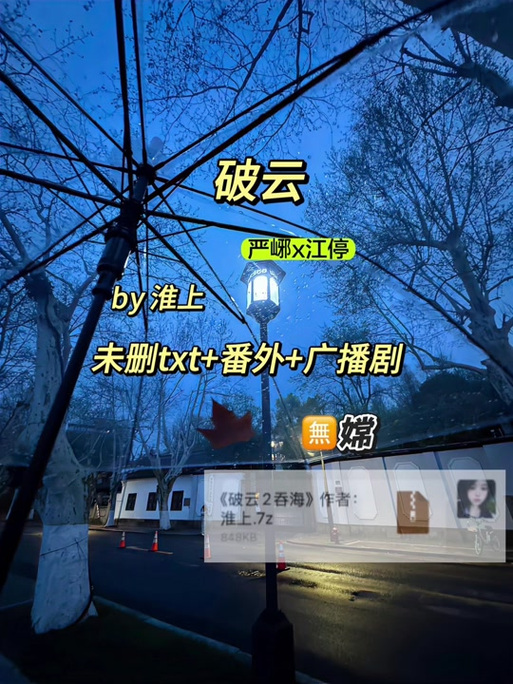 破云无删减版TXT图标