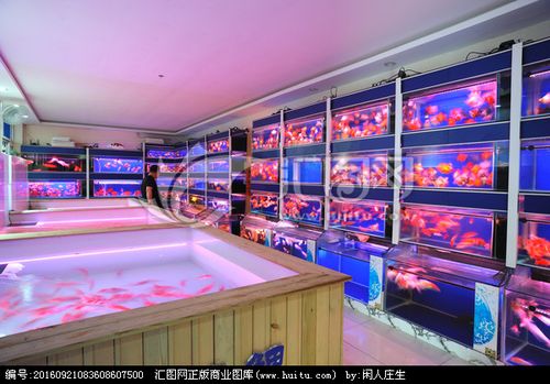 附近卖观赏鱼的水族馆缩略图