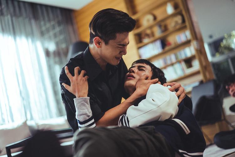 台剧圈套下载
