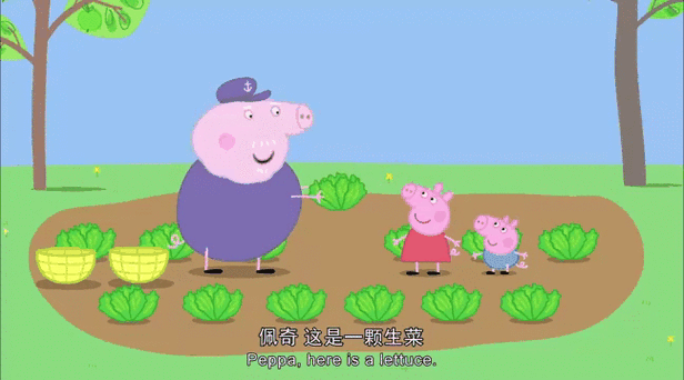 猪爷爷的菜园缩略图