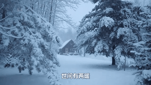 在北方的暖阳里看南方大雪纷飞