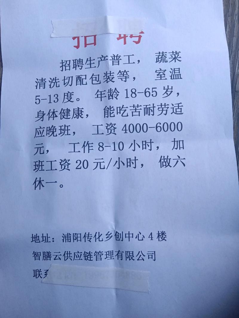 55-60岁招工附近