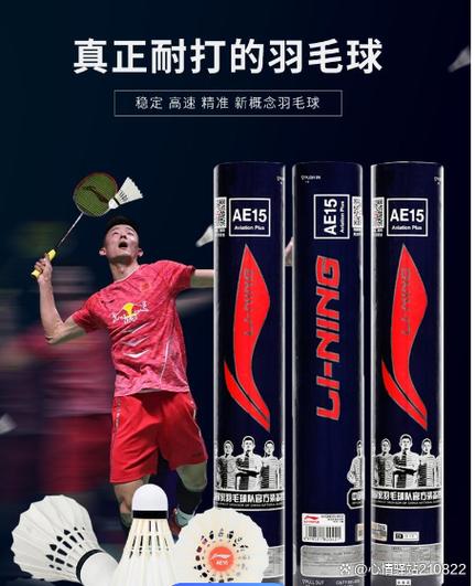 十大公认最强耐打羽毛球图标