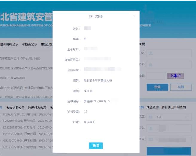 安全证查询