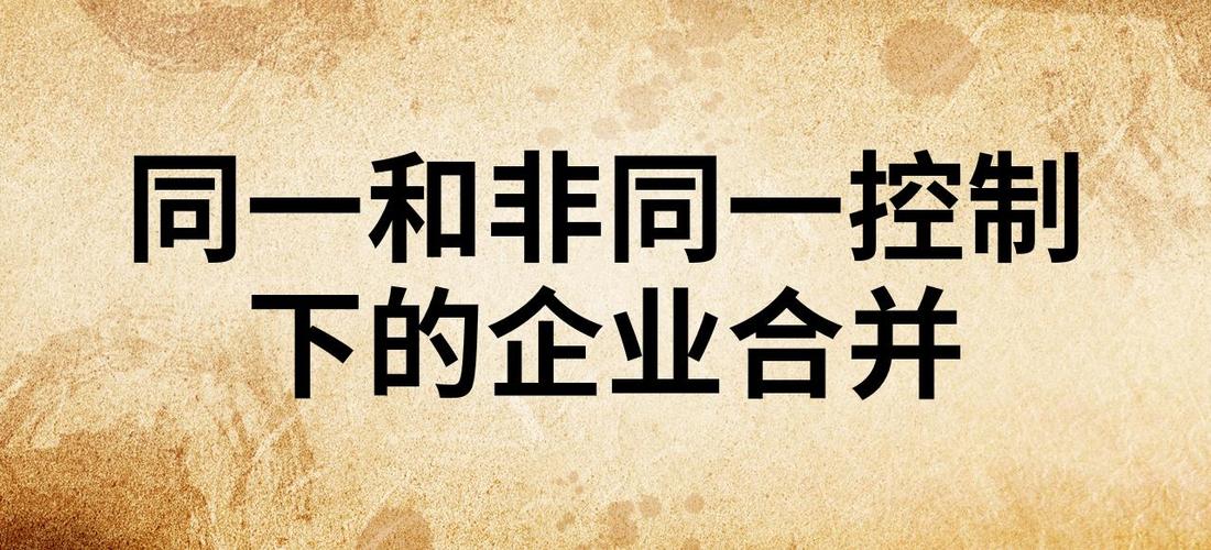 业务合并和企业合并