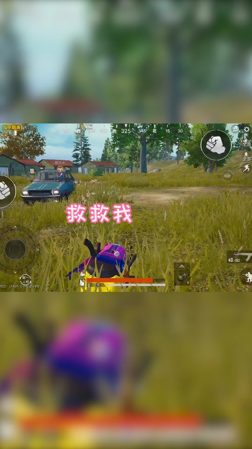 和平精英 救救我 语言设置