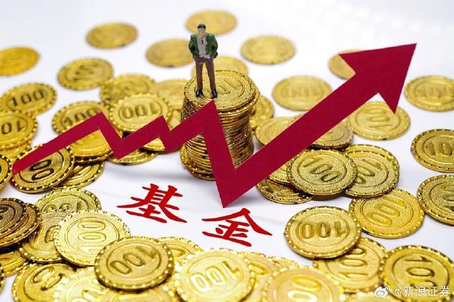 中国有对冲基金吗缩略图
