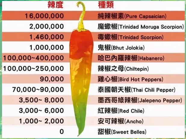 75度辣椒的辣度是什么程度图标