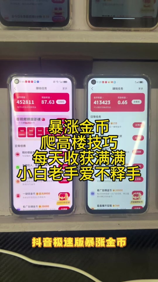 自走棋金币挂