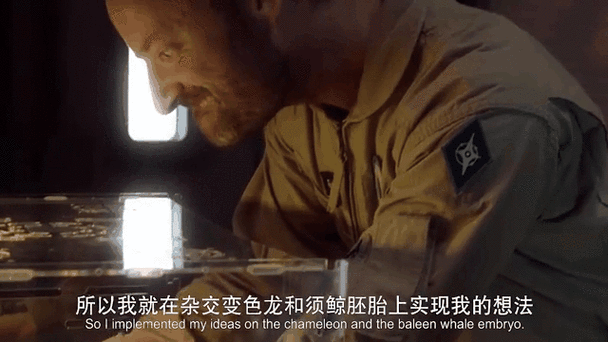火星异变主演石凉