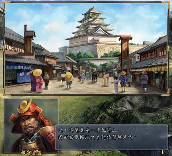 信长之野望13画面很慢