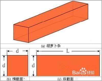 一横一纵怎么区分