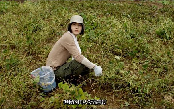 小森林冬春篇在线观看