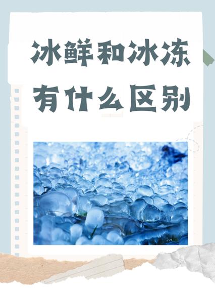 冰鲜和冷冻截图