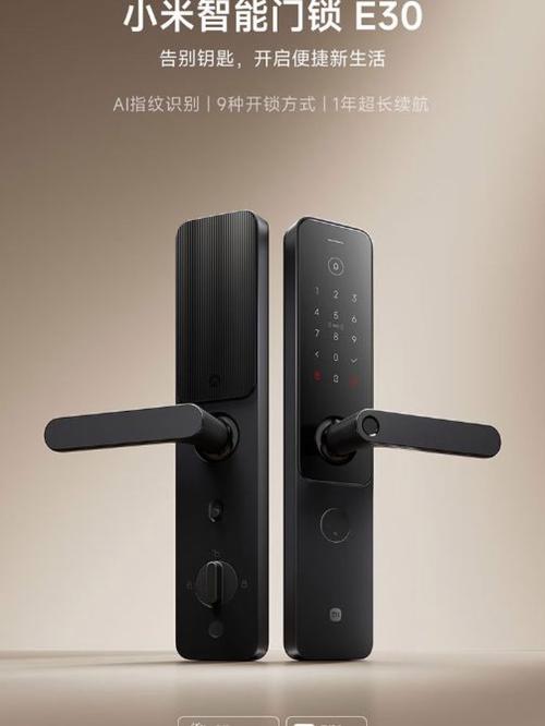 小米门锁带几把钥匙图标