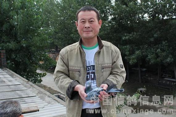 张学飞个人简历截图