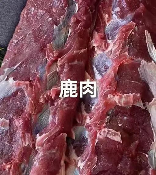 鹿肉市场价一斤多少游戏截图