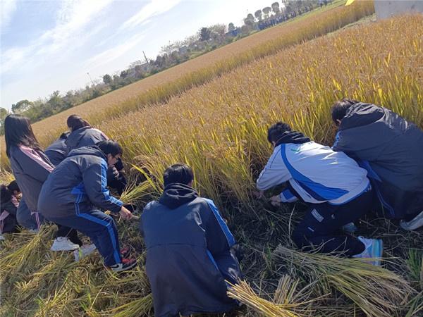 长沙附近农家乐和休闲农庄