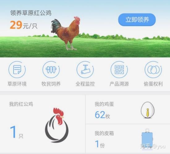 养鸡领鸡蛋小程序源码缩略图