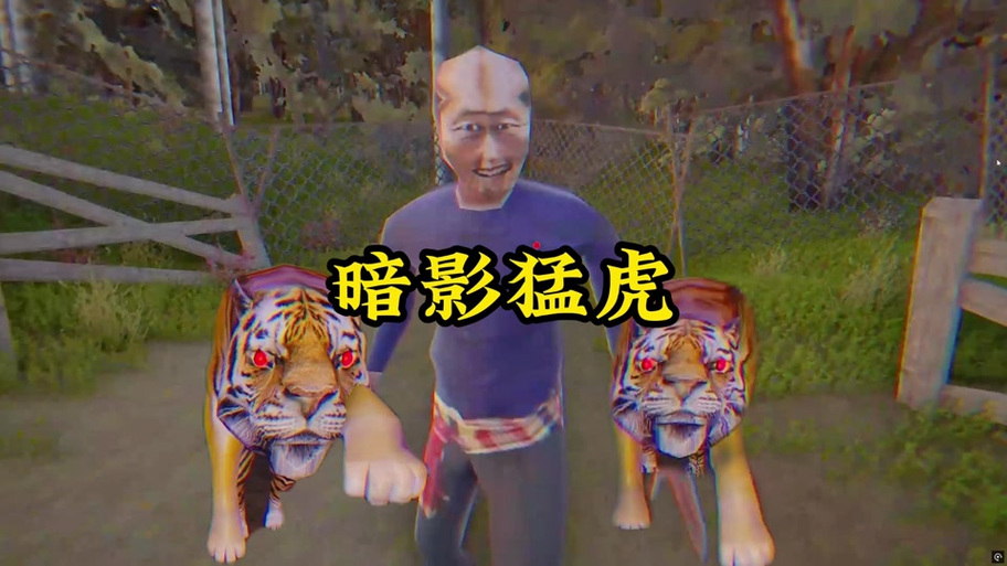 小黄蜂视频app特色